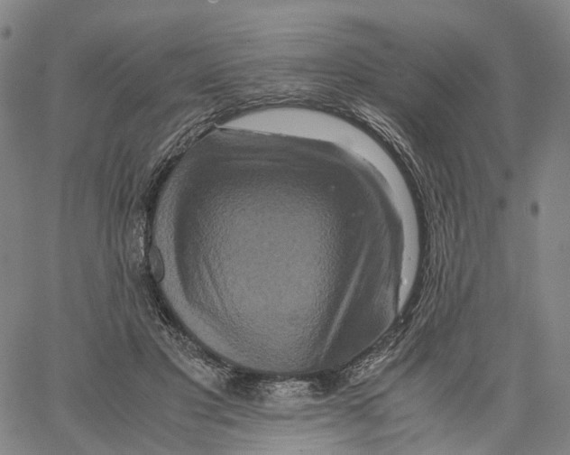X0000062830501200602101515
