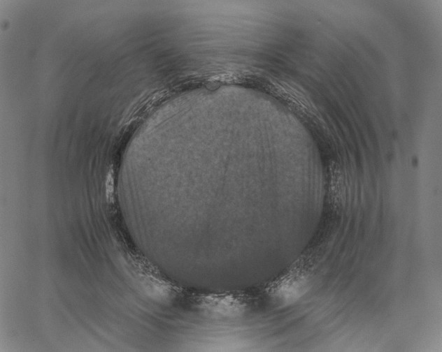 X0000062830502200602101515