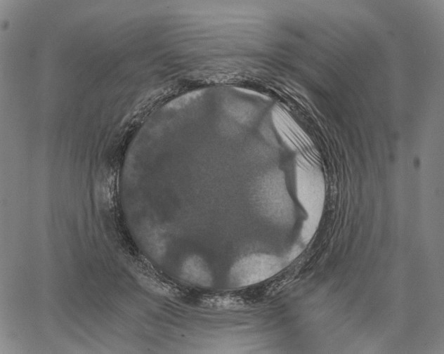 X0000062830503200602101515