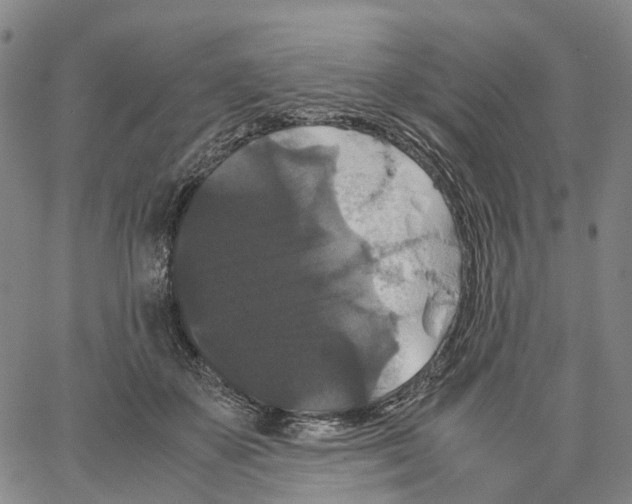 X0000062830507200602101515
