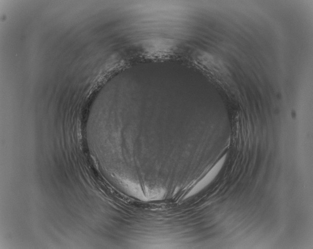 X0000062830508200602101515