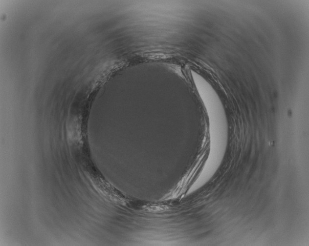 X0000062830512200602101515