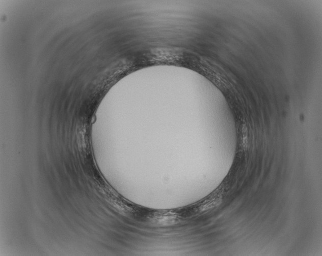 X0000062830514200602101515
