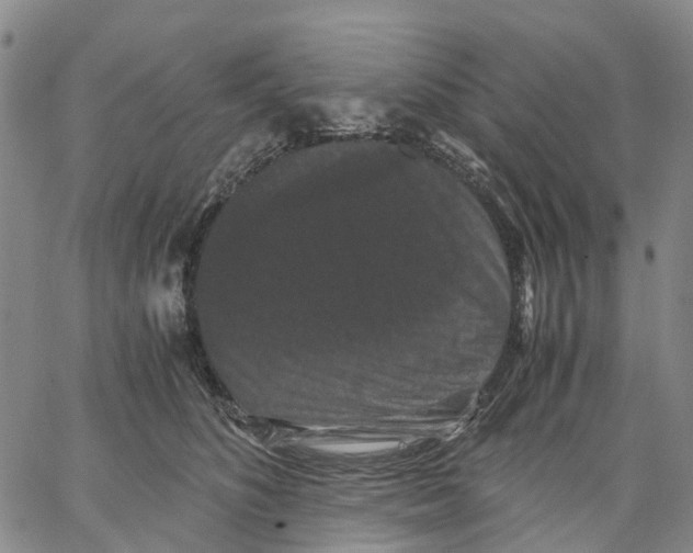 X0000062830516200602101515