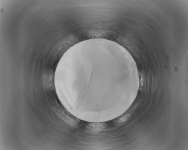 X0000062830526200602101515