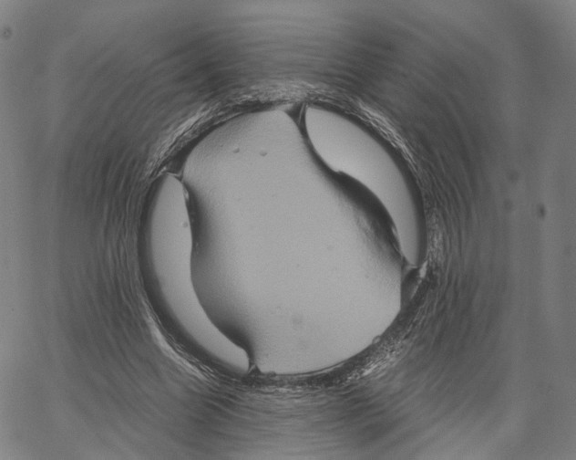 X0000062830538200602101514