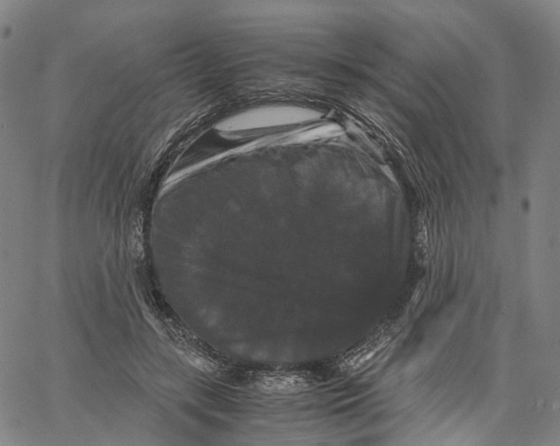 X0000062830547200602101514