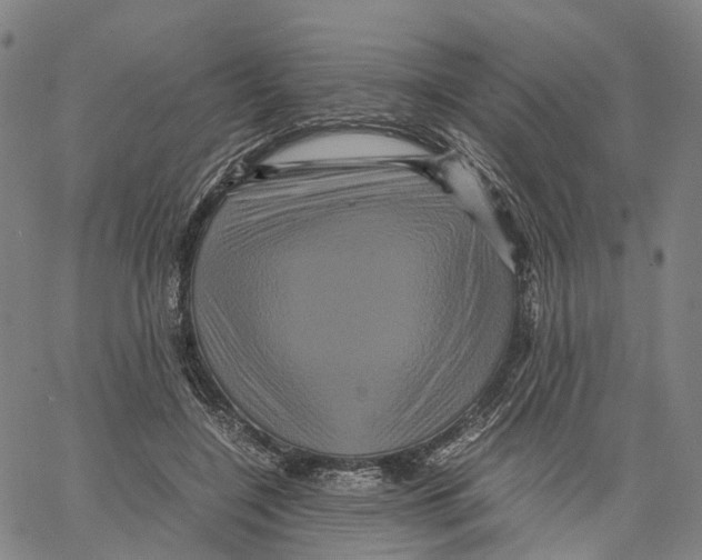 X0000062830548200602101514