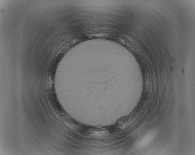 X0000062830555200602101514