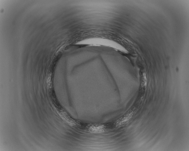 X0000062830560200602101514