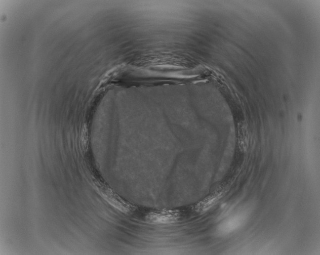 X0000062830563200602101514