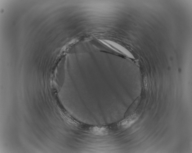 X0000062830570200602101515