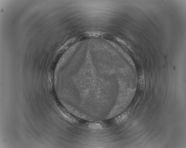 X0000062830572200602101515
