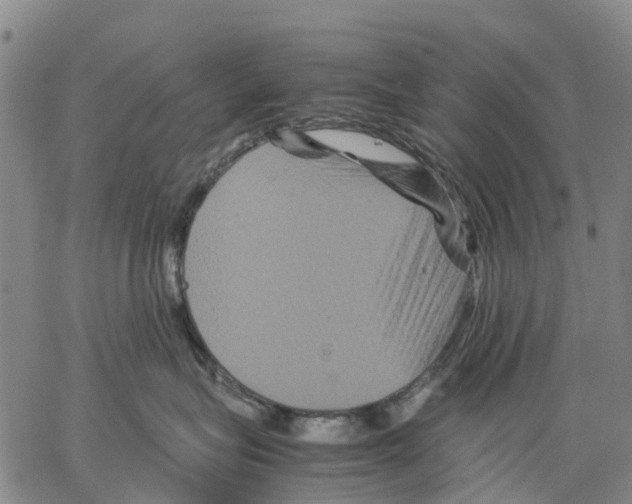 X0000062830575200602101515