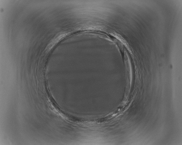 X0000062830577200602101514
