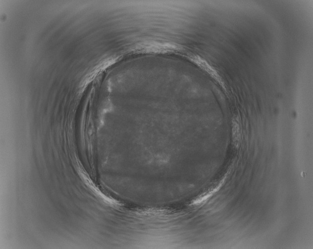 X0000062830581200602101514