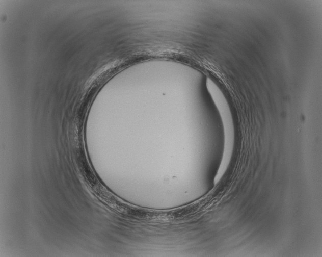 X0000062830587200602101514
