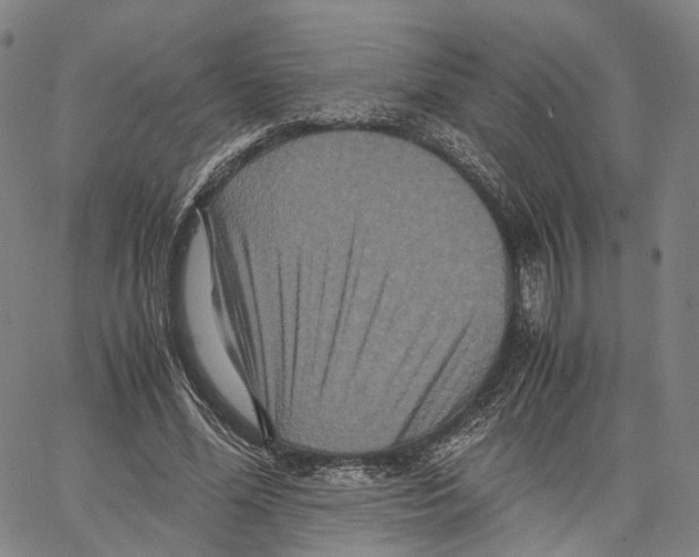 X0000062830588200602101514