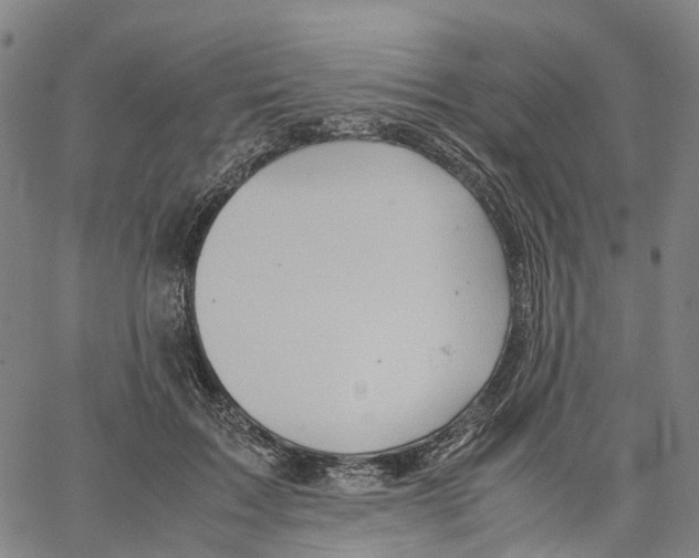 X0000062830603200602101513