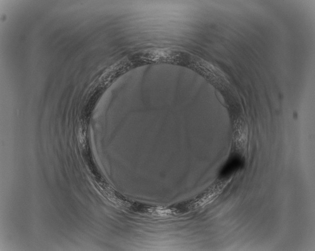 X0000062830607200602101513