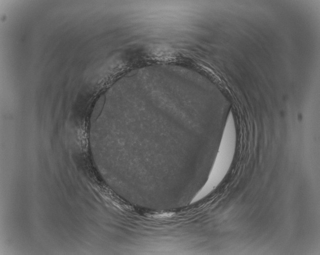 X0000062830609200602101513