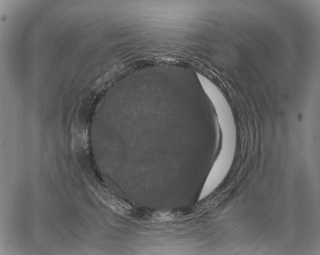 X0000062830613200602101513