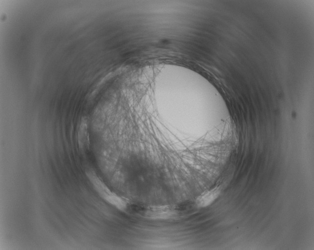 X0000062830622200602101513