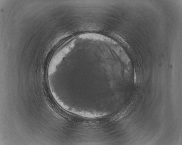 X0000062830627200602101512