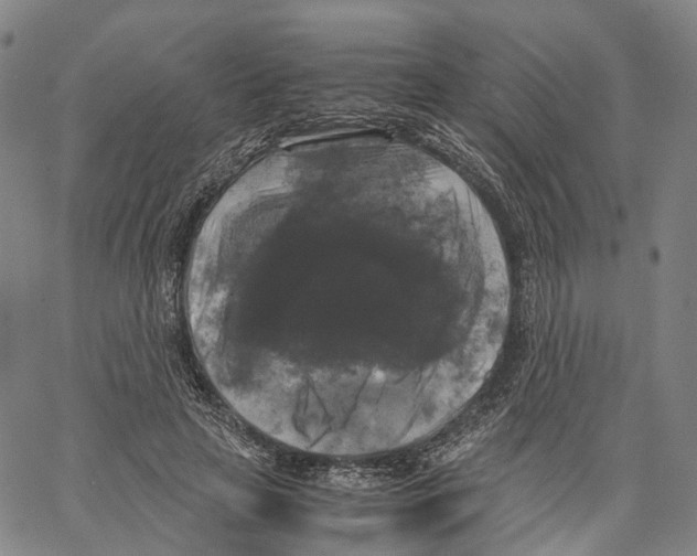 X0000062830641200602101513