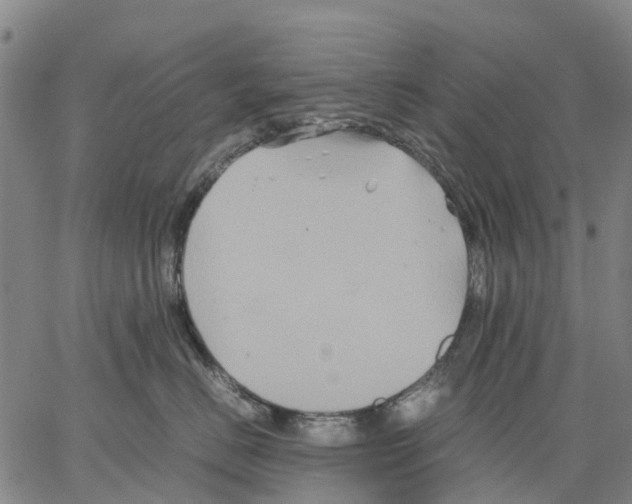 X0000062830670200602101513