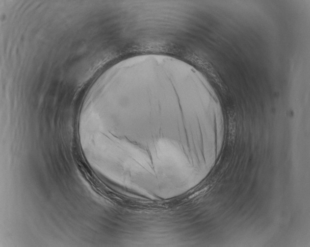 X0000062830674200602101512