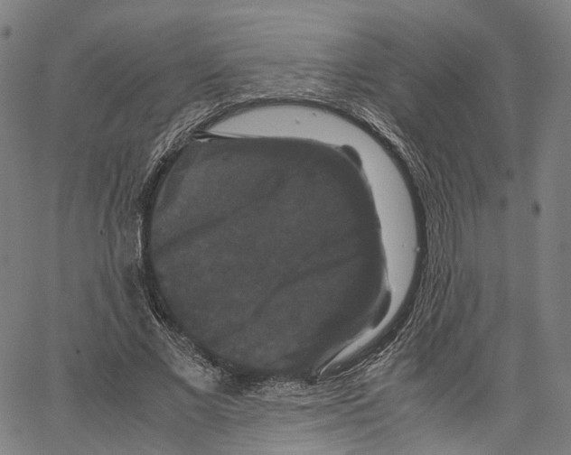 X0000062830685200602101512