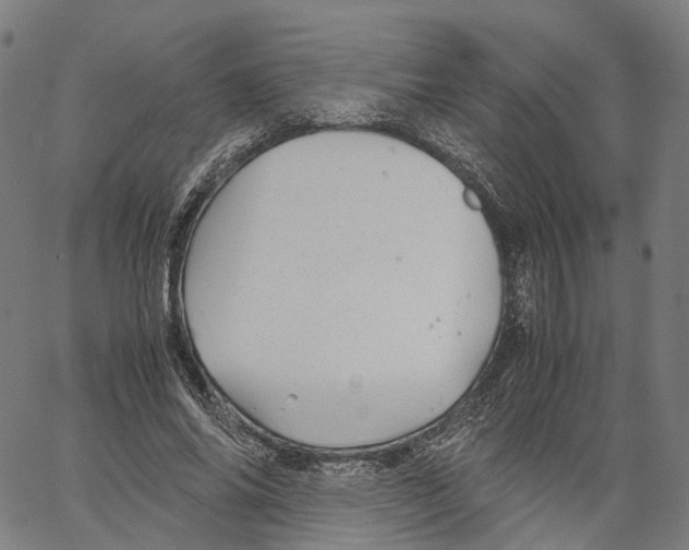 X0000062830686200602101512