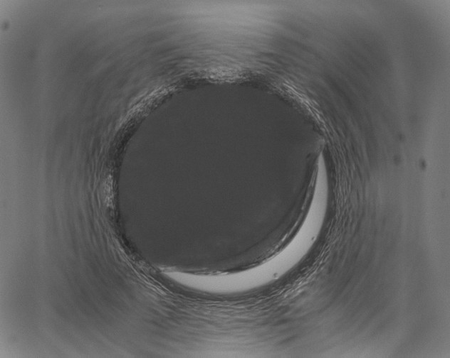 X0000062830689200602101512