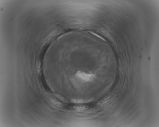 X0000062830693200602101512