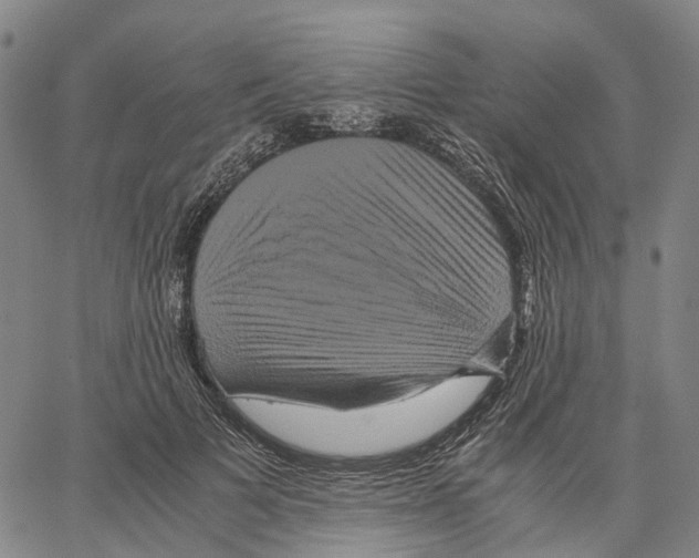 X0000062830697200602101512