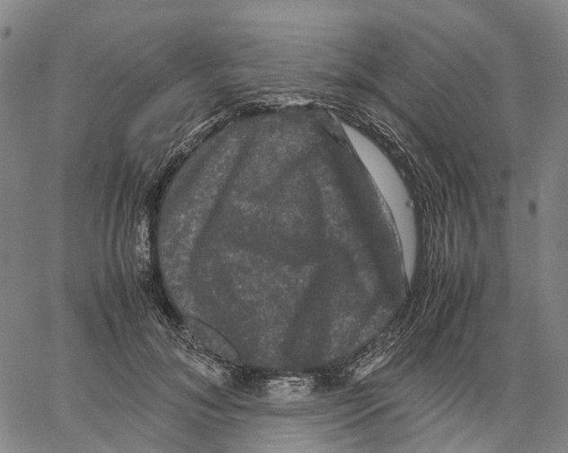 X0000062830700200602101512