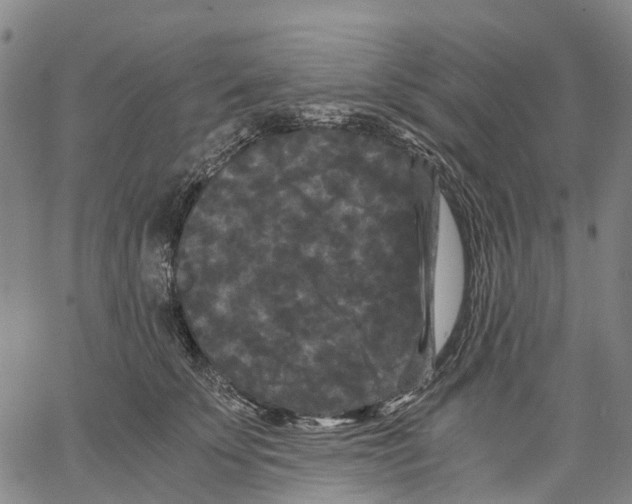 X0000062830707200602101512