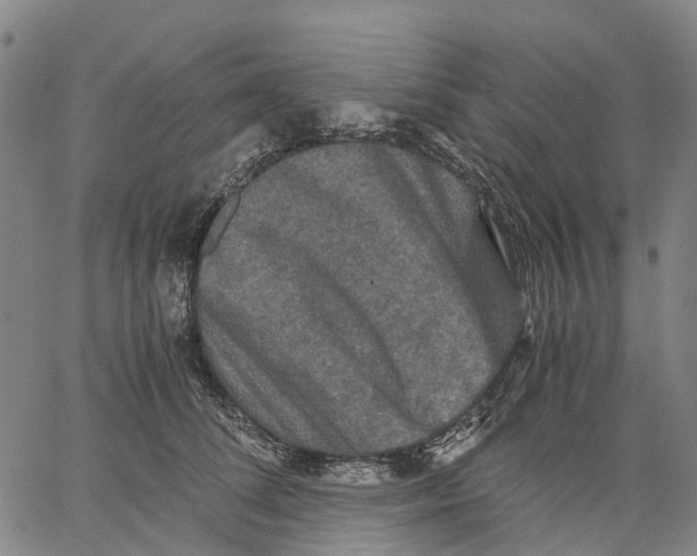 X0000062830708200602101512