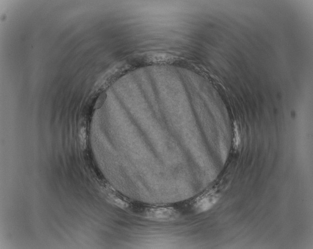 X0000062830716200602101512