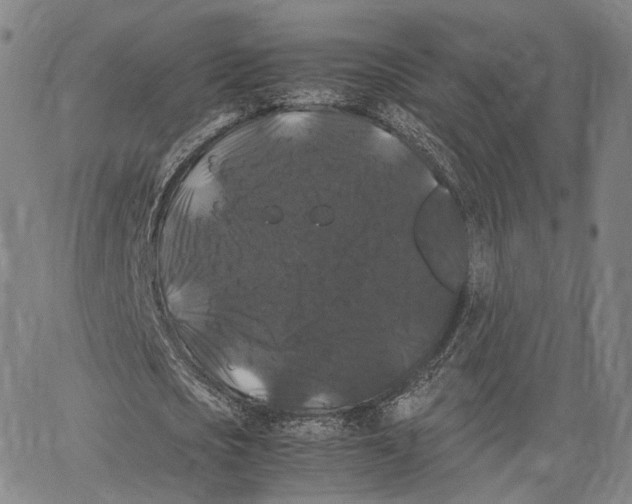 X0000062830721200602101511