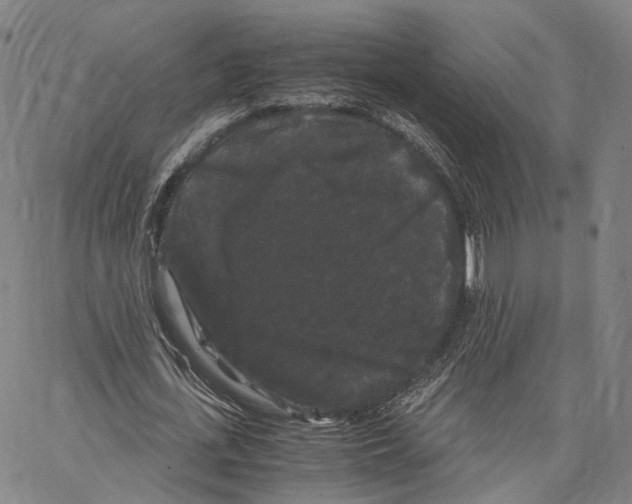 X0000062830723200602101511