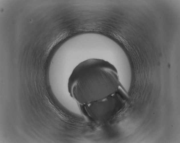 X0000062830735200602101511