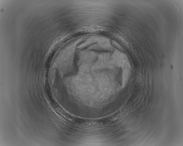 X0000062830736200602101511