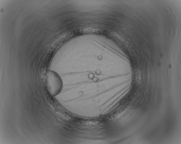 X0000062830737200602101511
