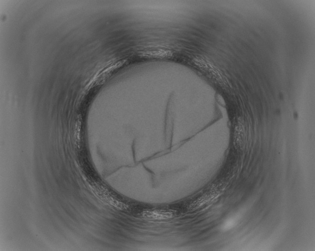 X0000062830739200602101511