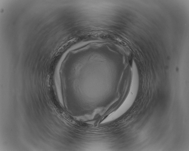 X0000062830750200602101511