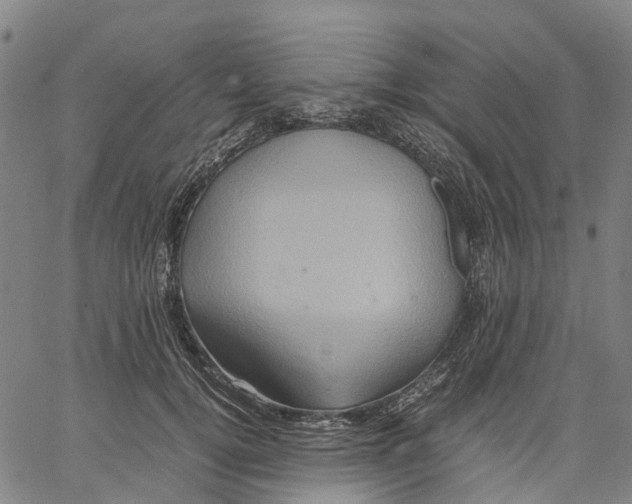 X0000062830752200602101511
