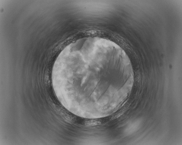 X0000062830754200602101511