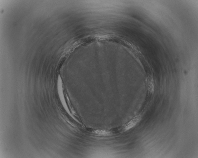 X0000062830766200602101512